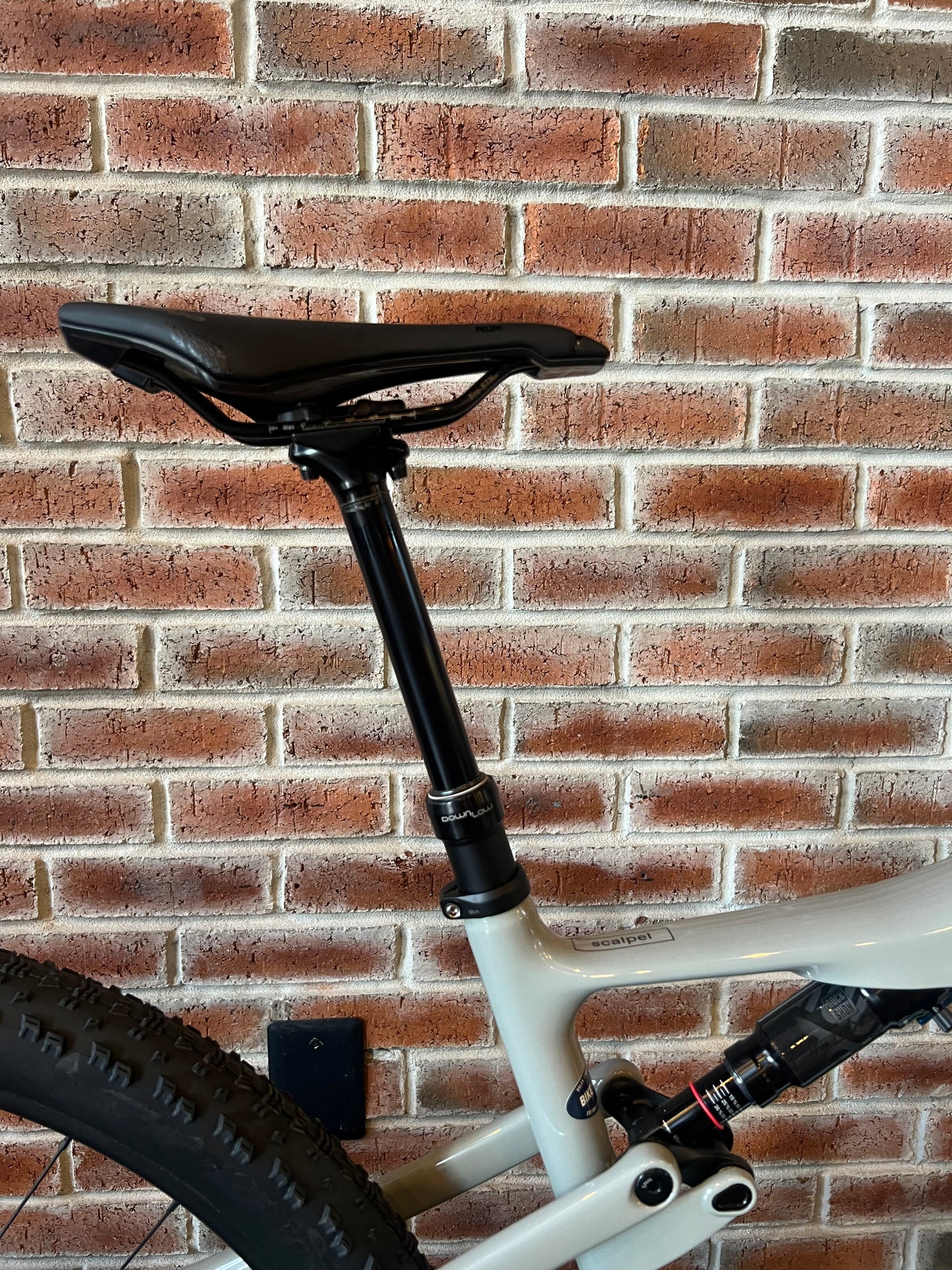 2025 Cannondale 29 U Scalpel Carbon 3 (L)
